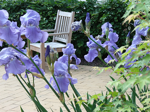 Gartenanlage Paulinenhaus