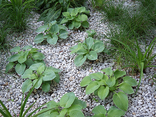 Gartenanlage Paulinenhaus