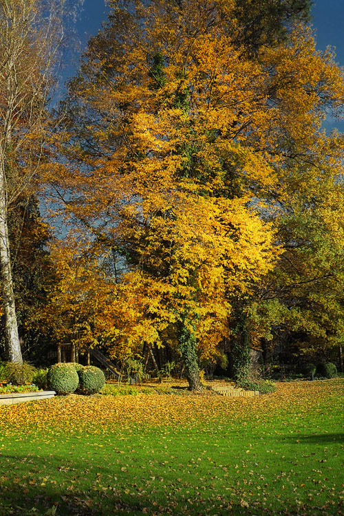 Herbststimmung