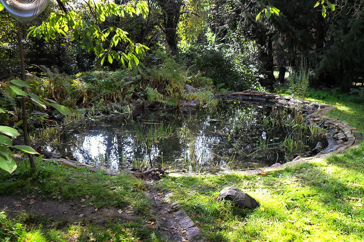 Wildwuchs am Gartenteich im Frhjahr