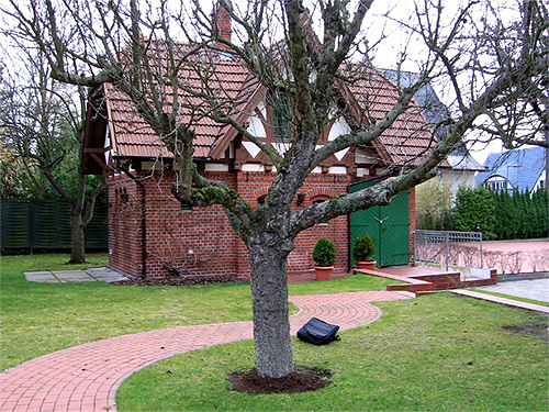 Der Baum stellt ein natürliches Hindernis dar; der geschwungene Weg wirkt harmonisch Der geschwungene Weg weicht einem Baum aus